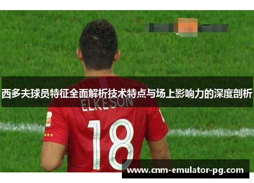 西多夫球员特征全面解析技术特点与场上影响力的深度剖析 西多夫球员特征全面解析技术特点与场上影响力的深度剖析