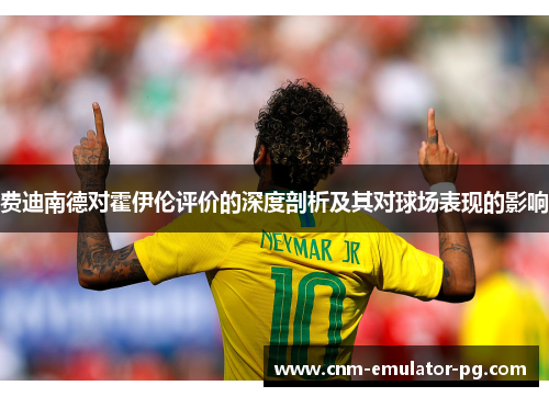 费迪南德对霍伊伦评价的深度剖析及其对球场表现的影响