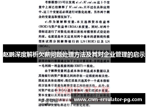 赵鹏深度解析欠薪问题处理方法及其对企业管理的启示