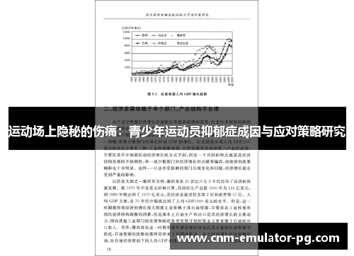 运动场上隐秘的伤痛:青少年运动员抑郁症成因与应对策略研究 运动场上隐秘的伤痛:青少年运动员抑郁症成因与应对策略研究