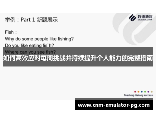 如何高效应对每周挑战并持续提升个人能力的完整指南