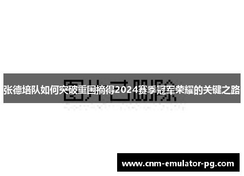 张德培队如何突破重围摘得2024赛季冠军荣耀的关键之路