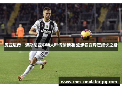 皮亚尼奇：波斯尼亚中场大师传球精准 逐步崭露锋芒成长之路