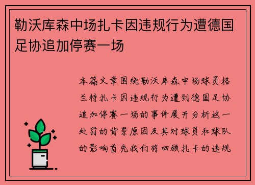 勒沃库森中场扎卡因违规行为遭德国足协追加停赛一场